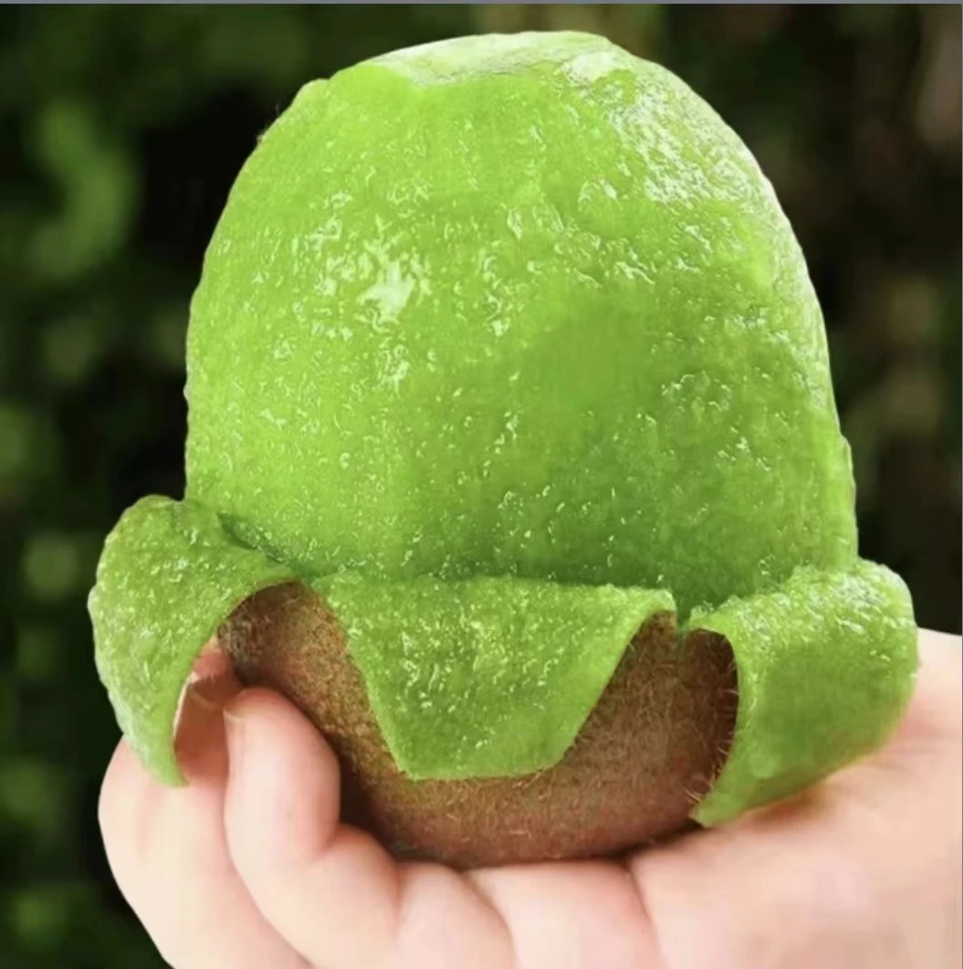 【蕊蕊专属】【到手30枚】正宗陕西亚特绿心猕猴桃产地直发坏果包赔