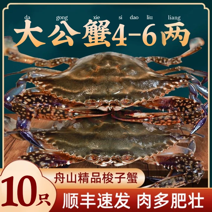 舟山梭子蟹4-6两10只海蟹新鲜海鲜螃蟹飞蟹白蟹4斤【冻蟹】大号