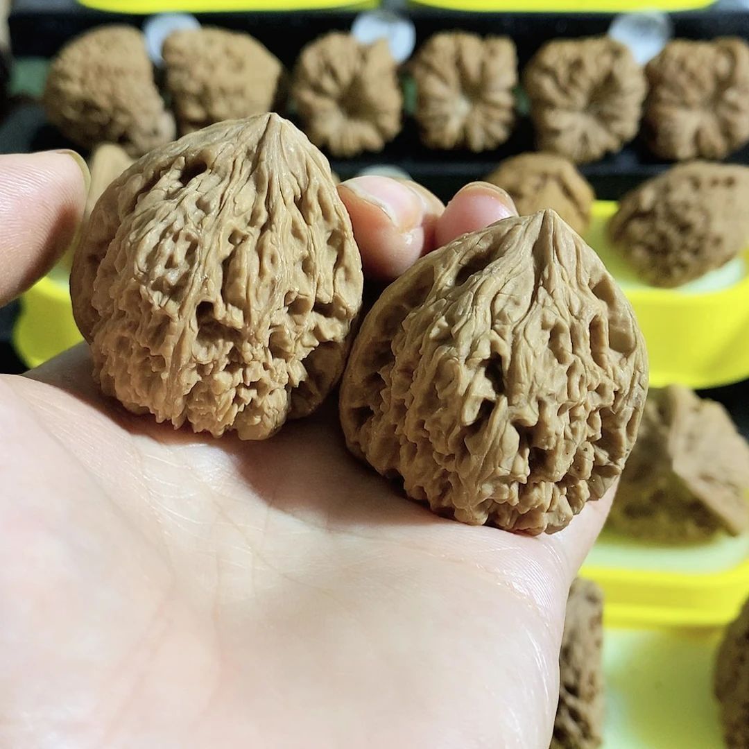 木质类今天是不是又