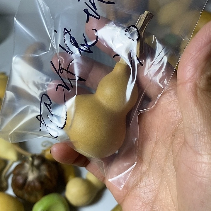 把***坏异形葫芦手把件小葫芦