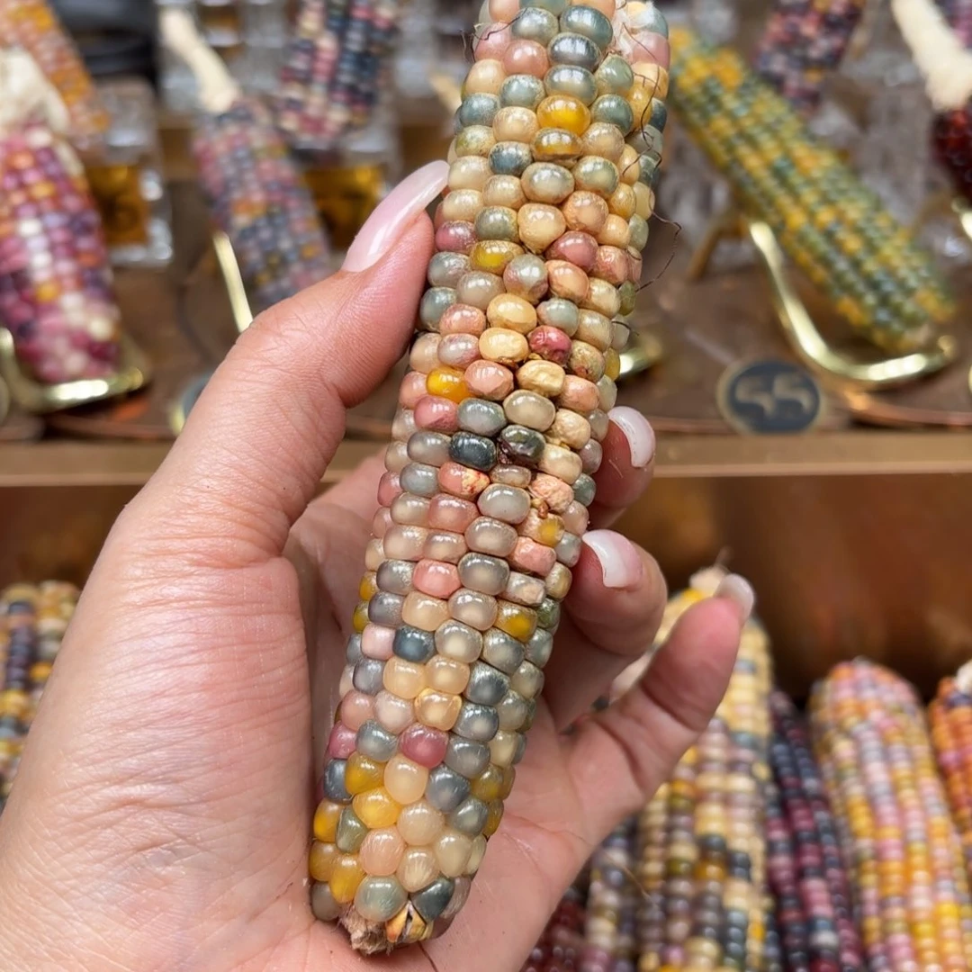 柏香籽/百香籽吊坠明***休