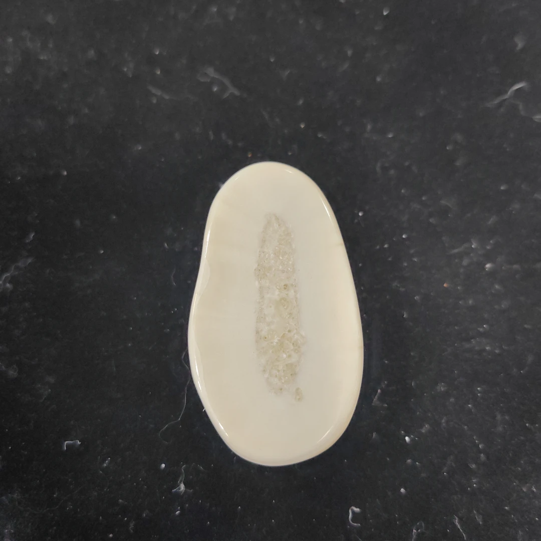 猛犸猛犸虬饼子WT585