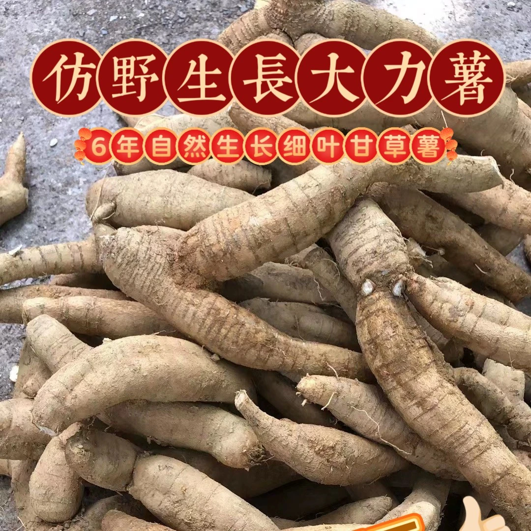 农家原生态野采牛大力大力薯煲汤泡酒