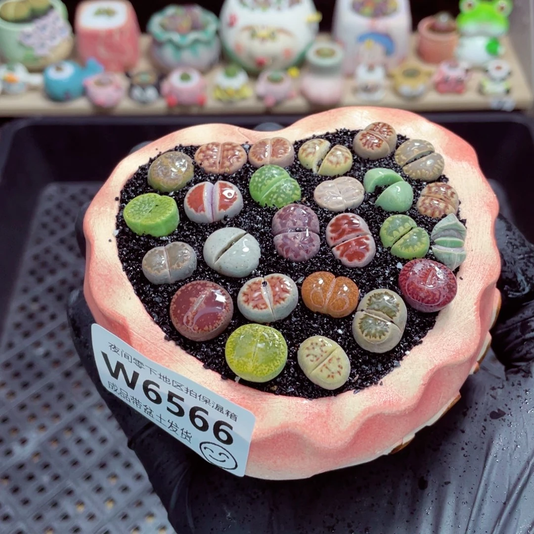 夜间零下地区拍保温箱w6566