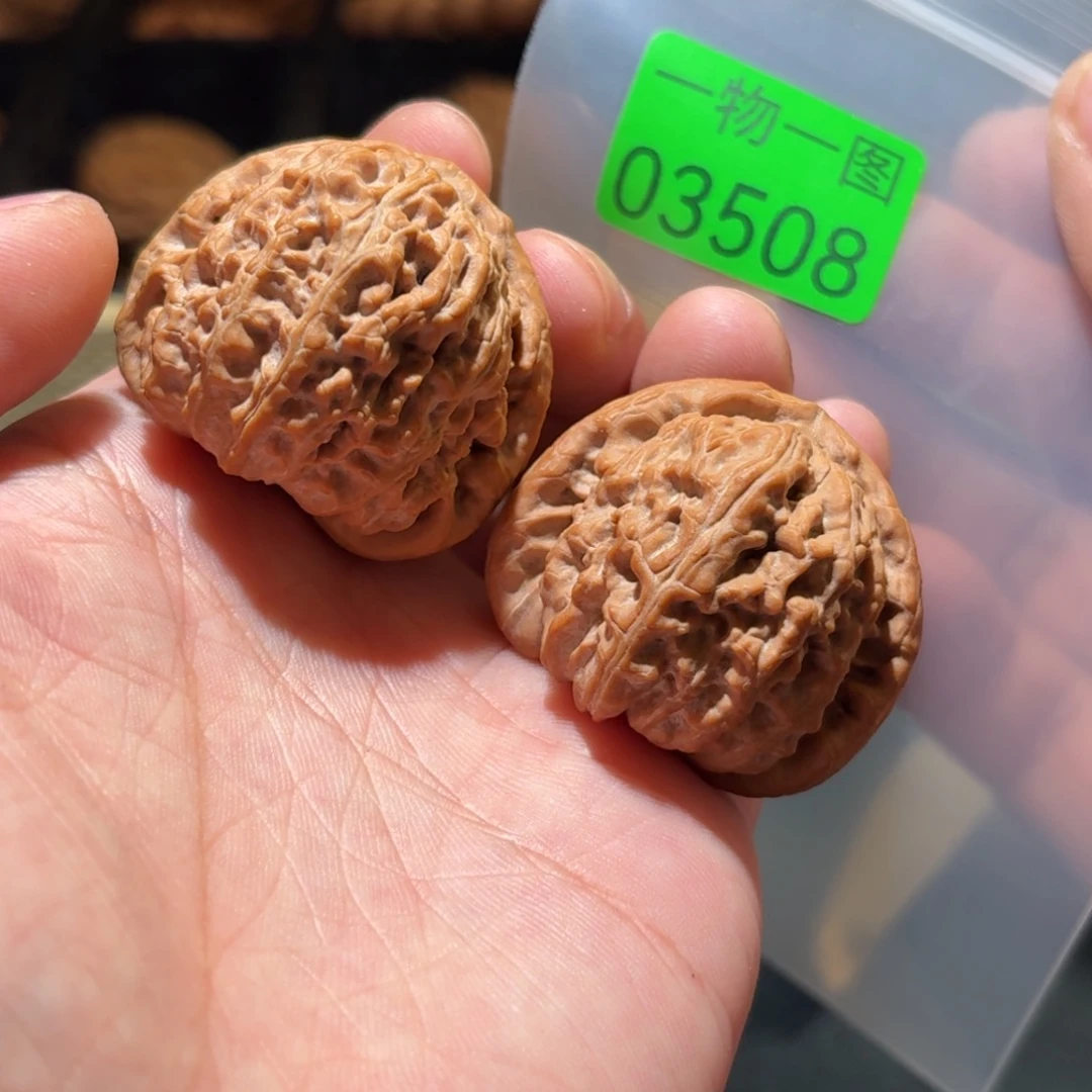 把件文玩核桃白狮子