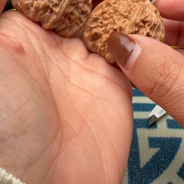 桃核吊坠文玩白狮子41