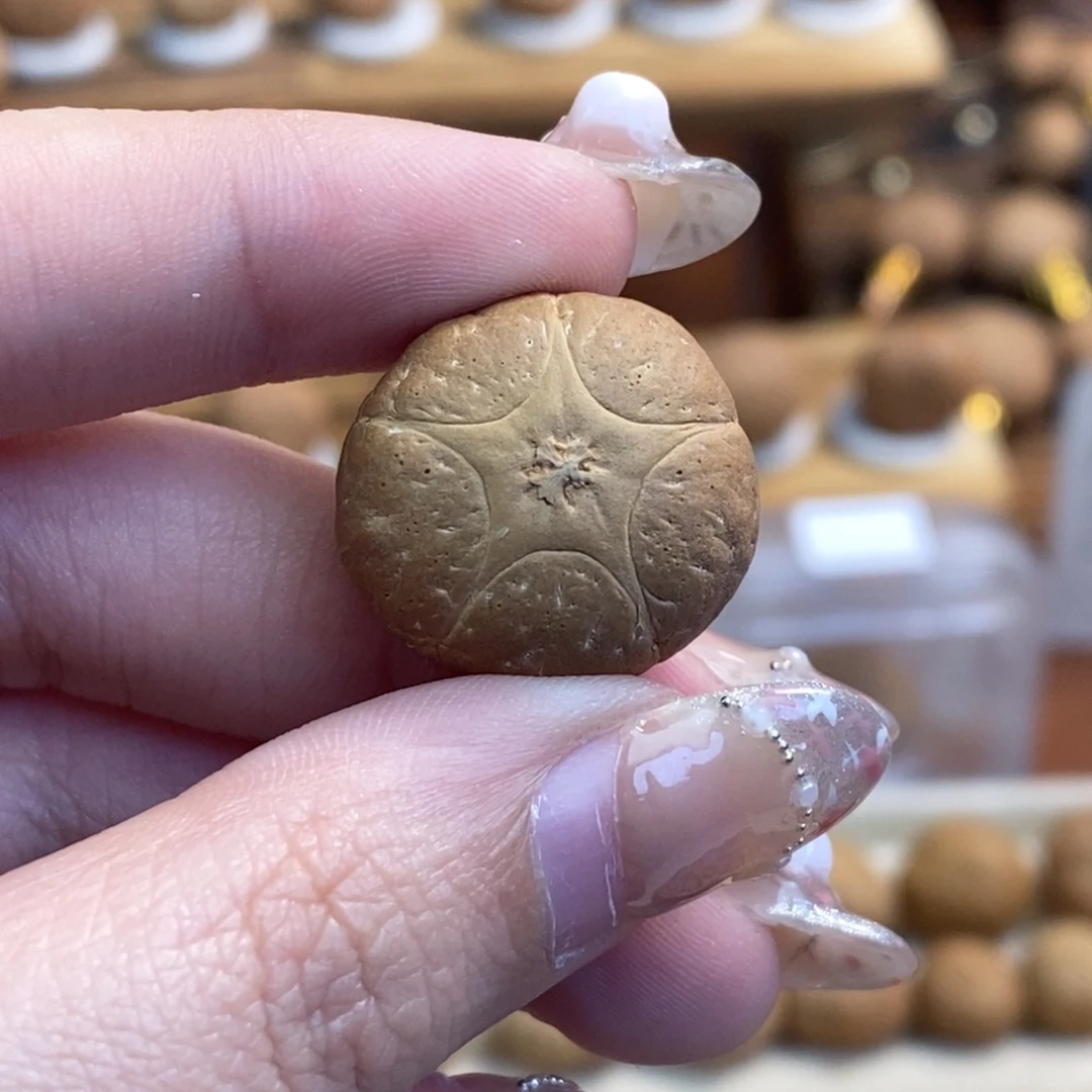 凤眼菩提吊坠三通五星尺寸19.9厚度15 毕业款