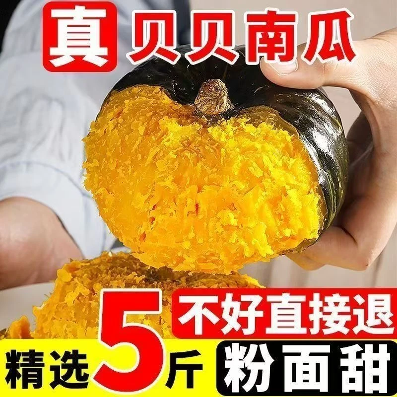 2025贝贝南瓜粉糯香甜板栗味现摘现发小南瓜粉面4.7-5.2斤