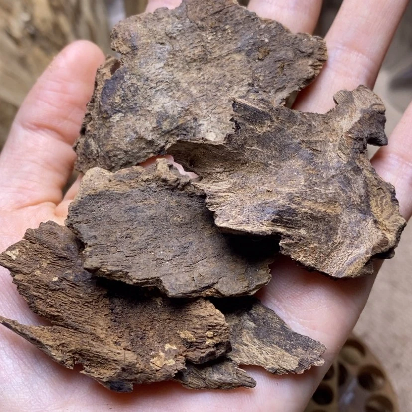 【闪购商品】香榧木医**尽海南10克