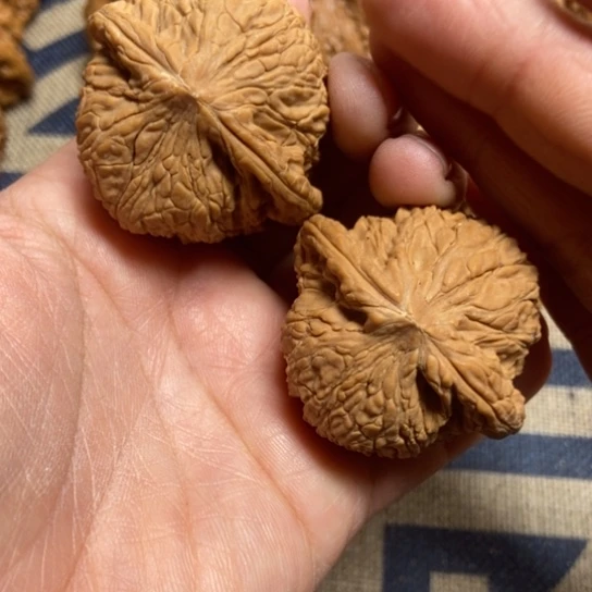 吊坠文玩核桃45全品泥鳅背