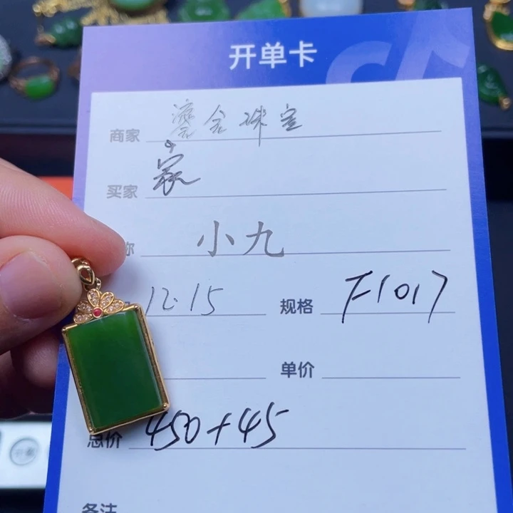颈饰18K金镶嵌和田玉家**宝