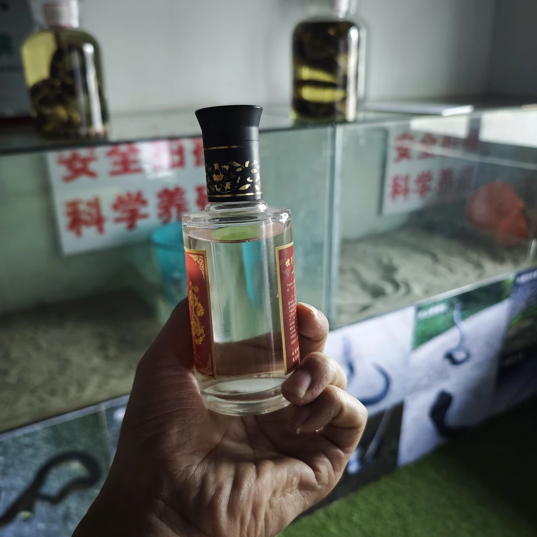 100g五不龙酒小酒瓶子喜欢不喜欢