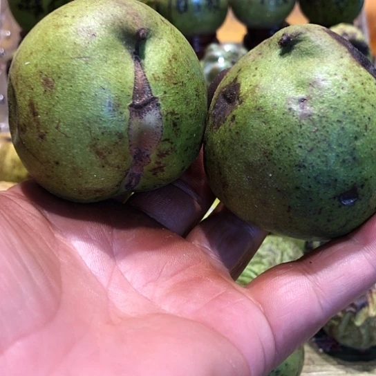 桃核吊坠核桃核桃