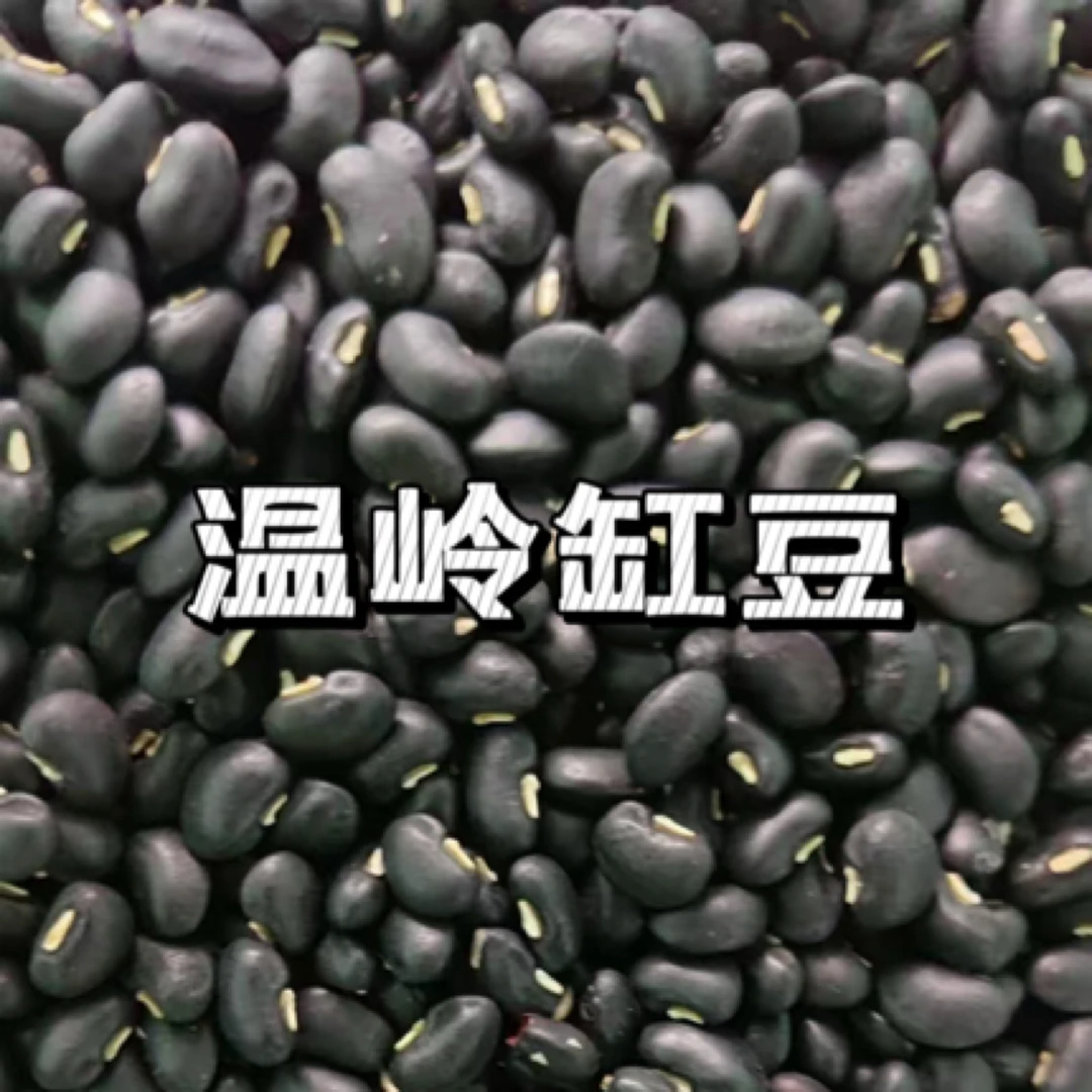 青农臻选 温岭乌缸豆 台州特色 可做缸豆饼 缸豆酒