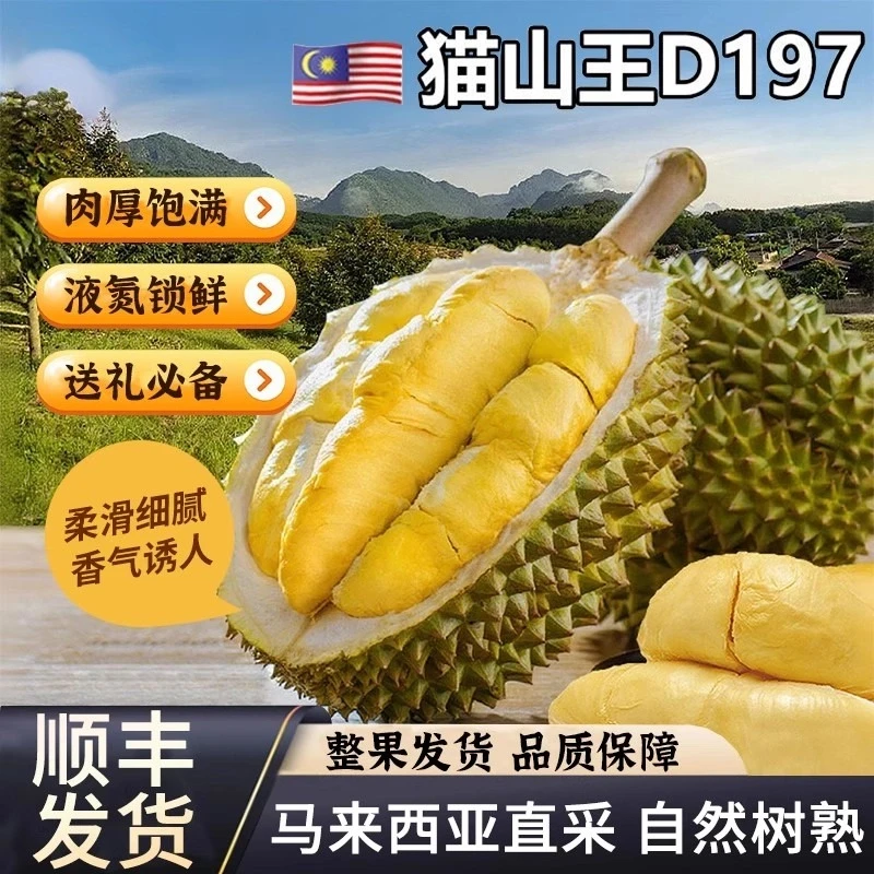 马来西亚进口D197猫山王榴莲液氮冷冻包邮树熟新鲜水果整果AA级