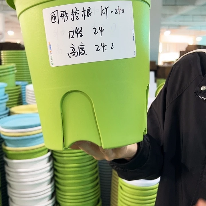 正品圆控口24高24果绿无托8只