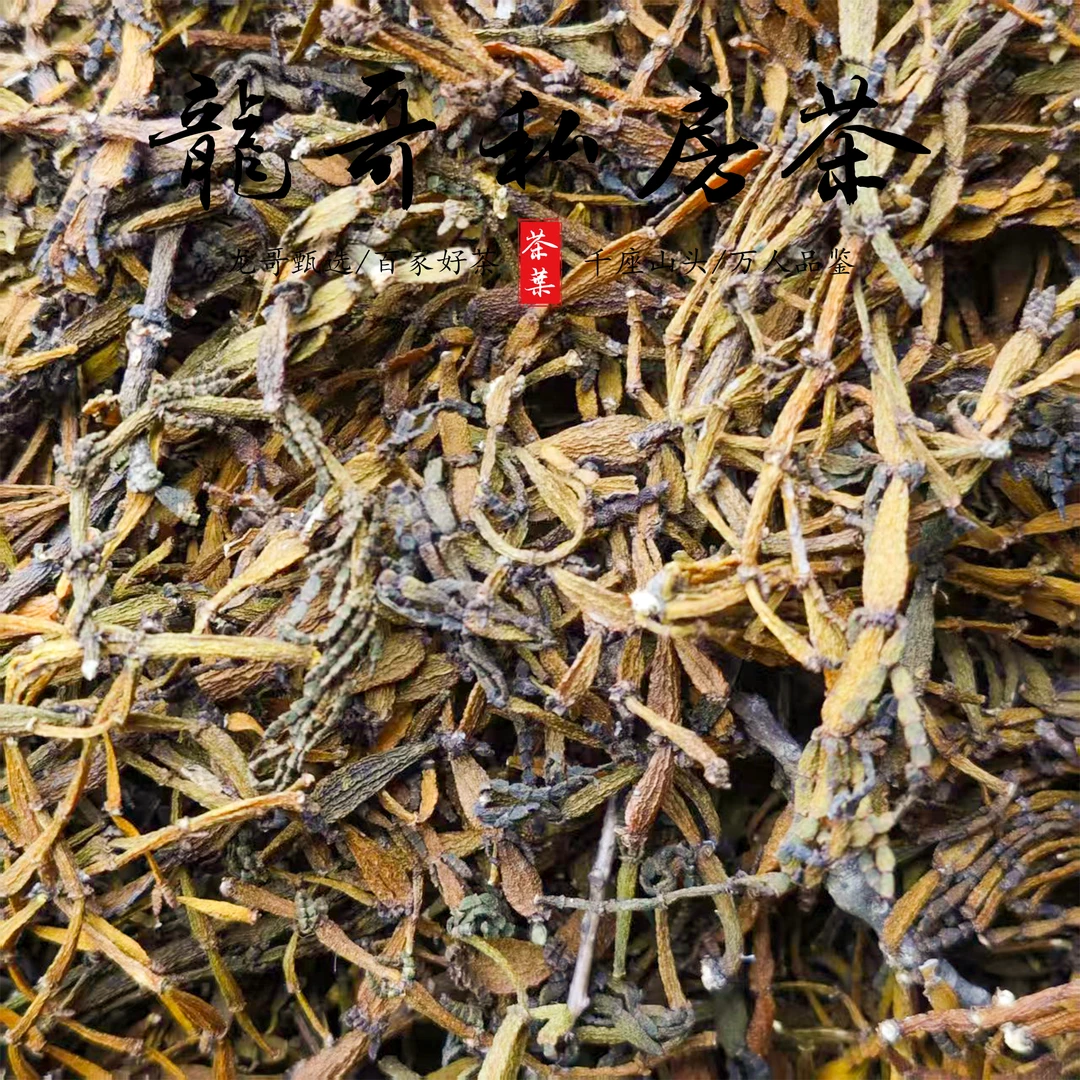 【龙哥私房茶】2015年景迈山螃蟹脚 茶树寄生植物