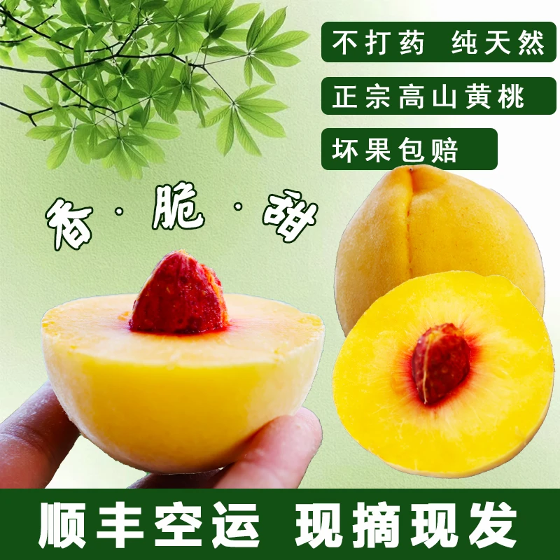 湖南安化南金锦绣黄桃精选小果