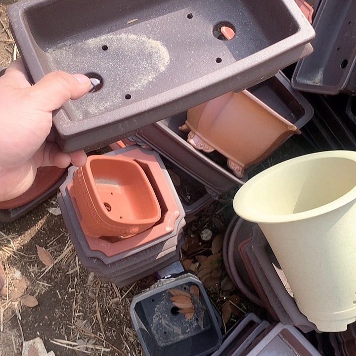 紫砂哈哈真的超级可爱哈哈哈哈哈