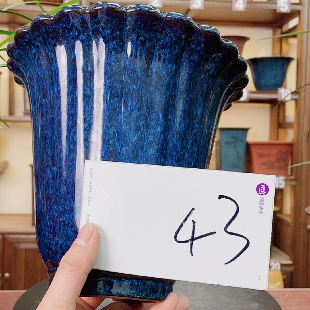 【闪购商品】紫砂花盆遥***度兰花752255555555555588