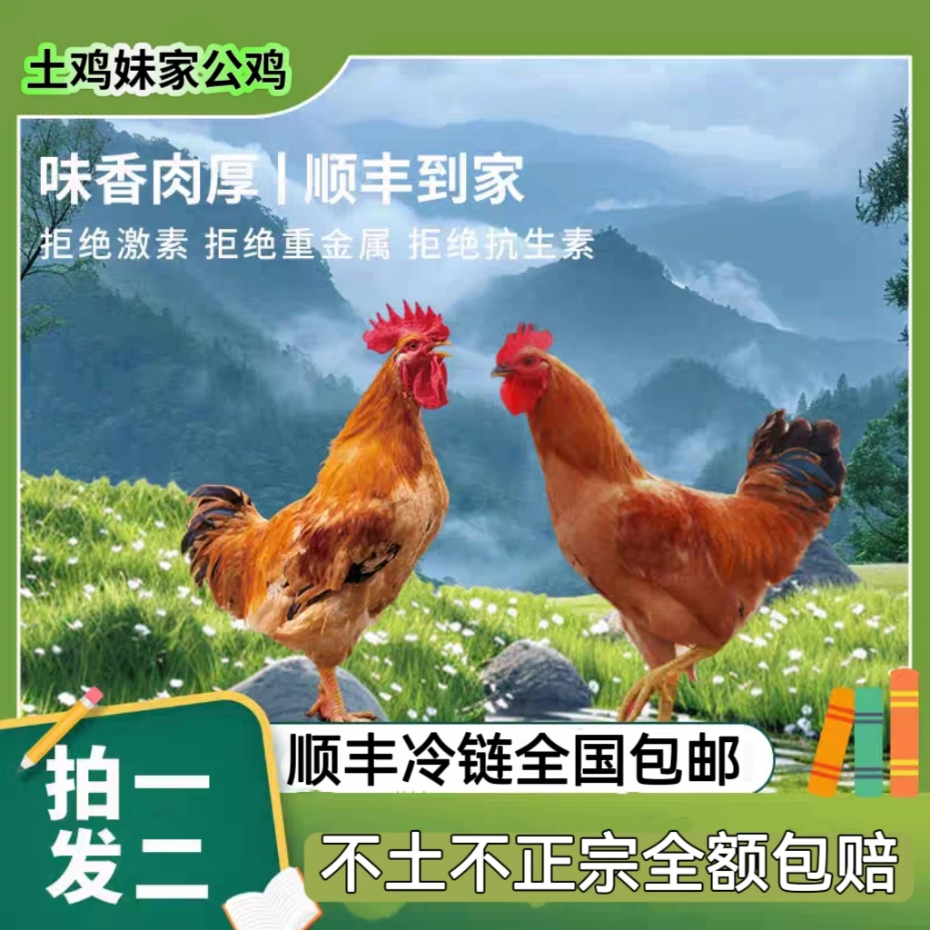 (一年左右)两只黑瑶黑脚大公鸡+半斤鸡胗(11.5斤左右)