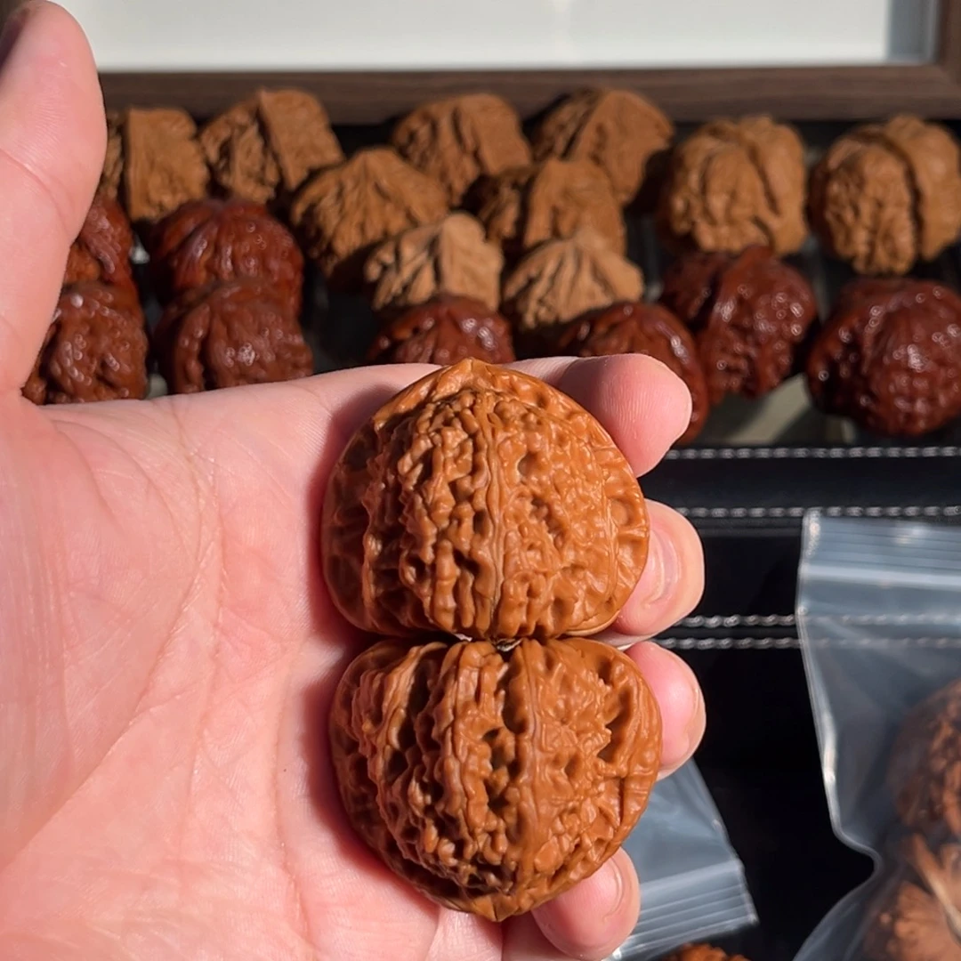 核桃手串/手链43三角白 一只全品 一只微修