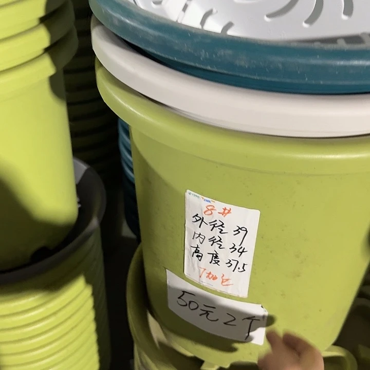 四季8#口径39果绿3个无托