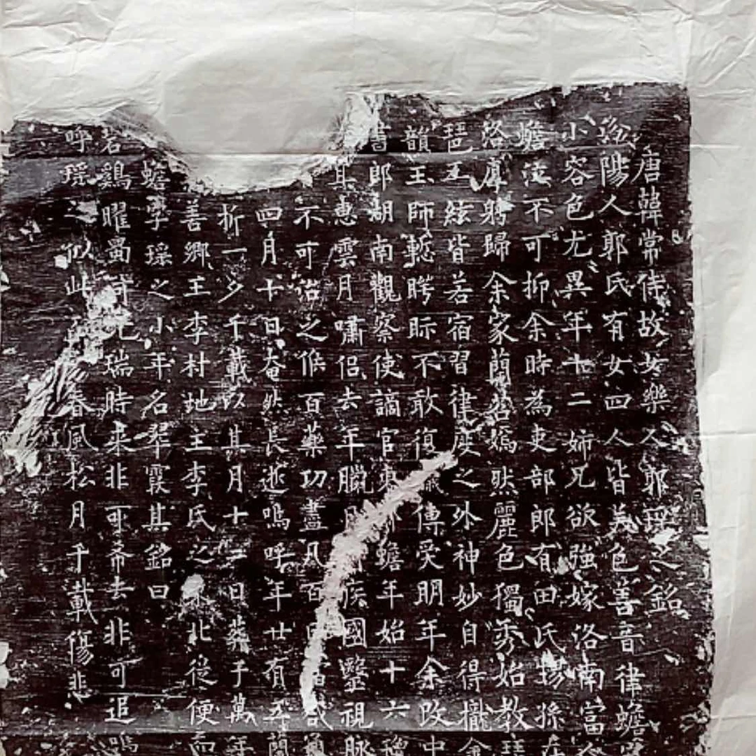 【闪购商品】拓片用纸其他郭瑶