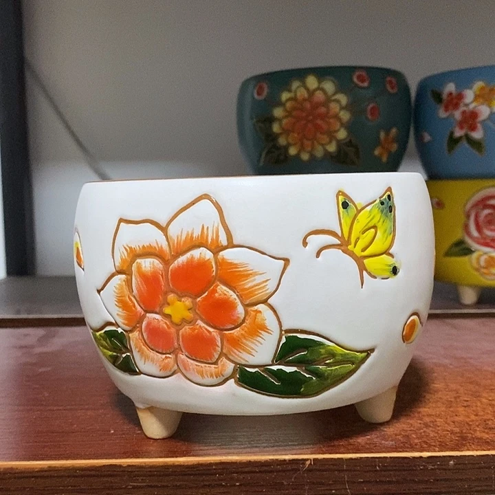 韩式多肉植物花盆