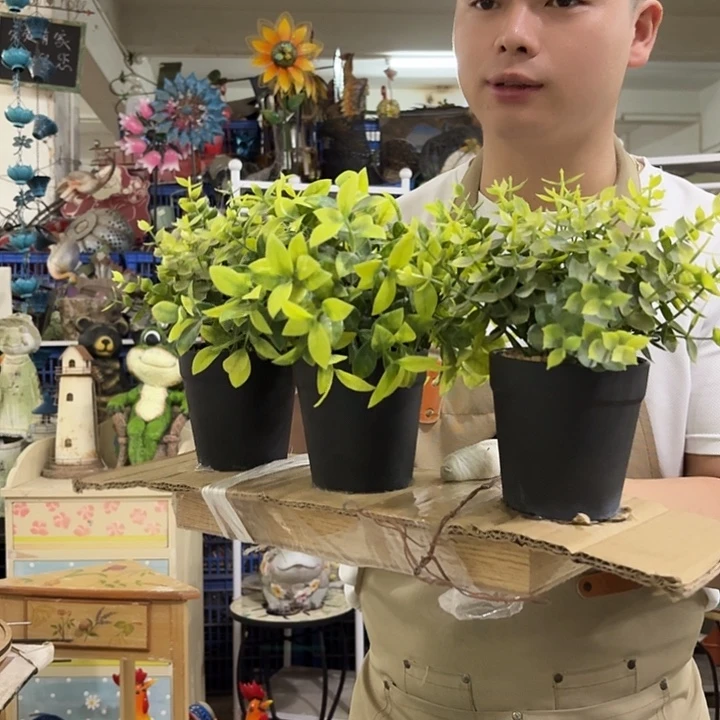 核桃木/黑胡桃（胡桃木）