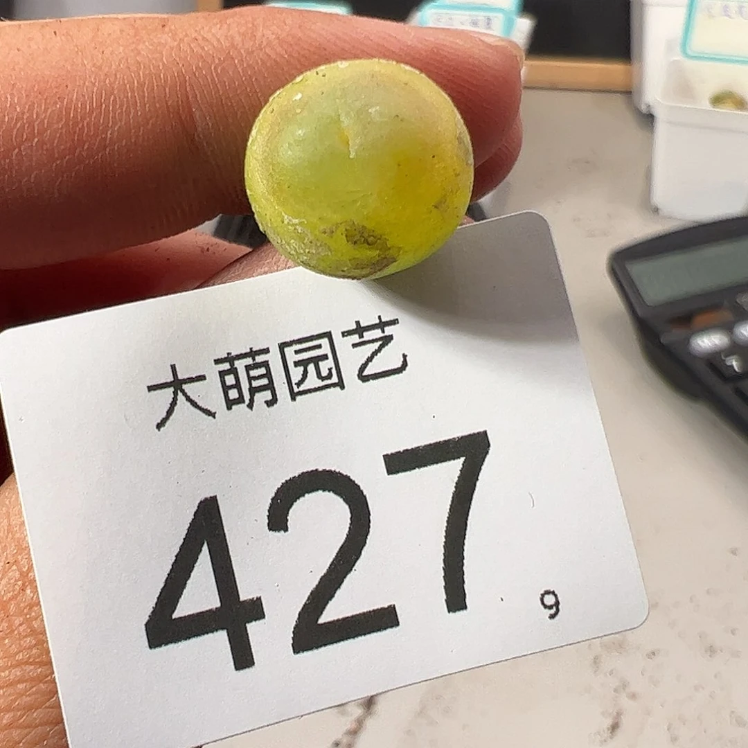 0000427 一物一拍……