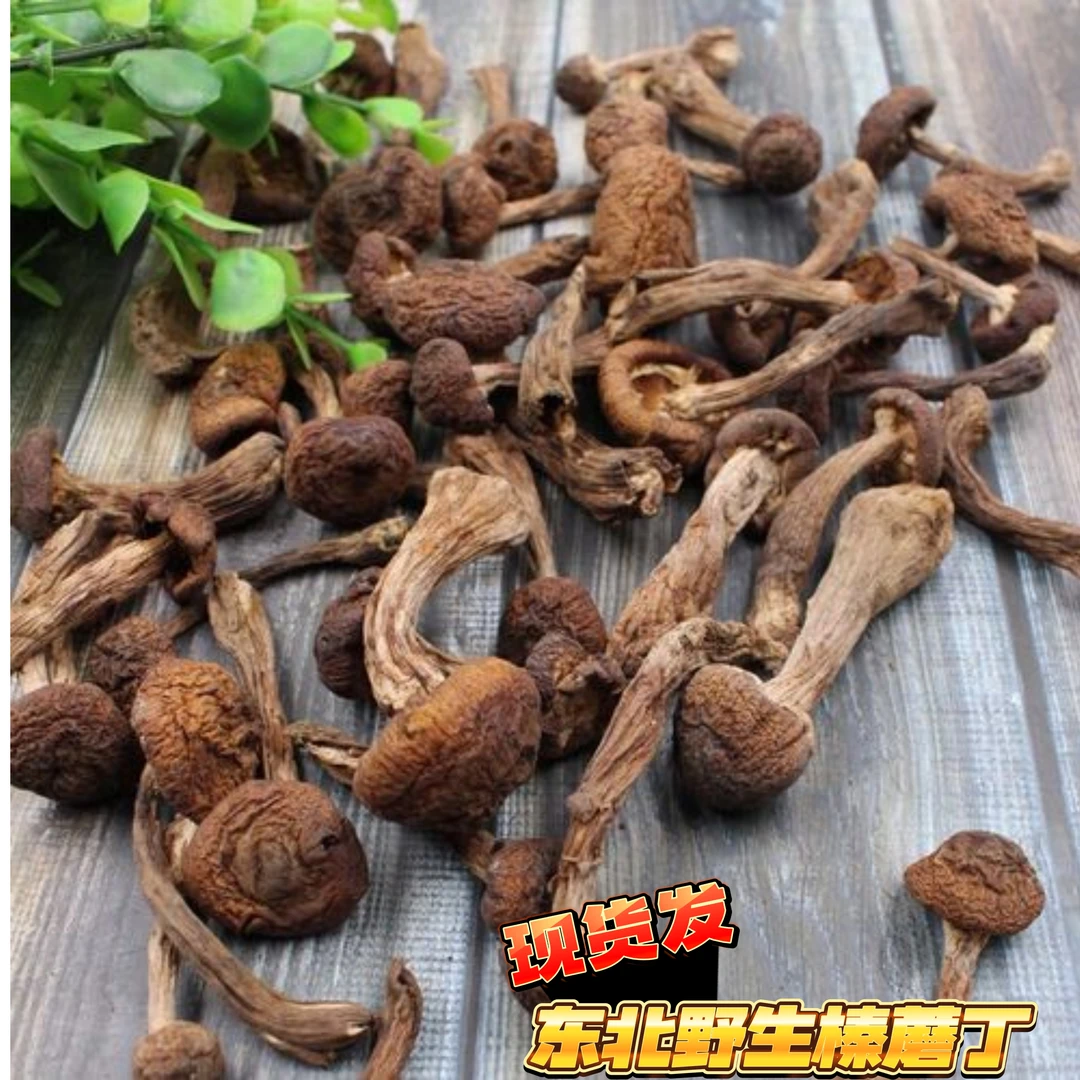 野生榛蘑丁 新货自然晾晒可用于小鸡炖蘑菇
