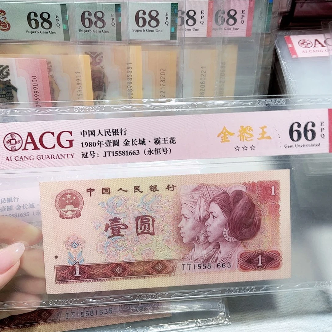 15581663。。。。金龙王
