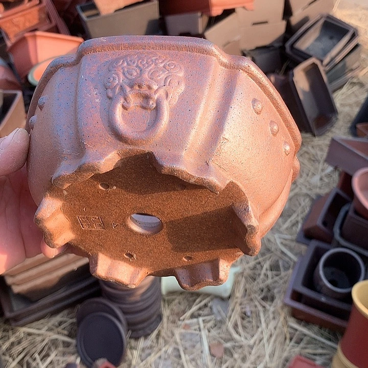 紫砂哈哈真的是太给力太火爆了