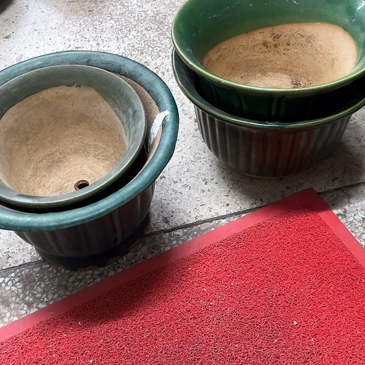 红陶吾*。。。。。。。。。。。