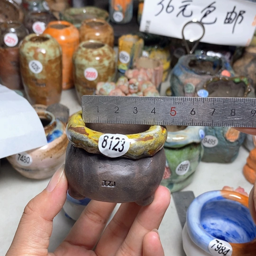 拍3送一个小礼物