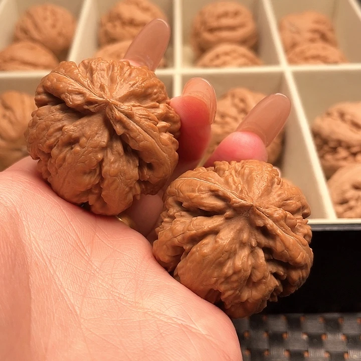 福***，霸王龙核桃尺寸39