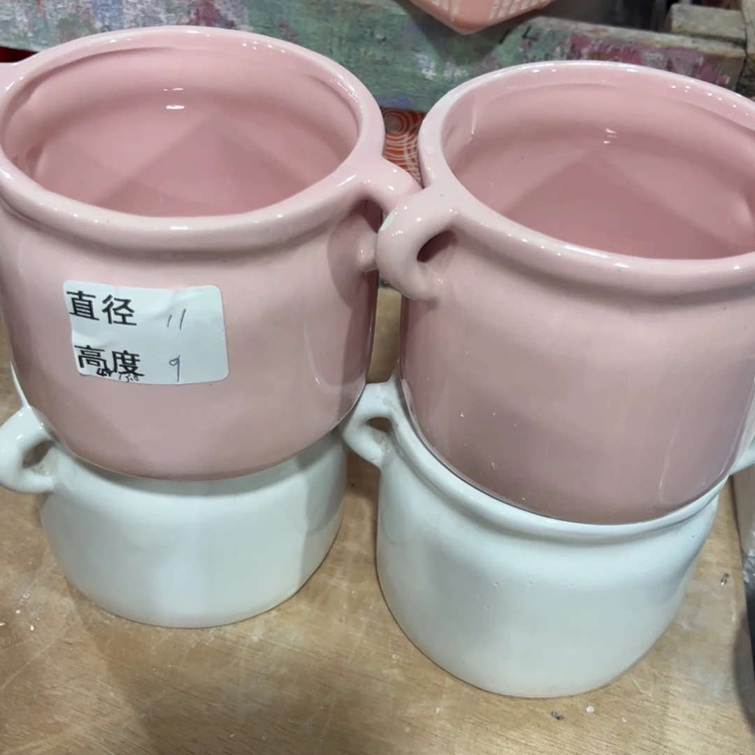 多肉植物花盆等植物