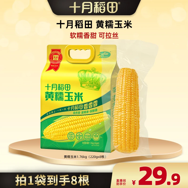 【广东夫妇专属】粗粮轻食十月稻田黄糯玉米香甜糯东北黏苞米1.76kg