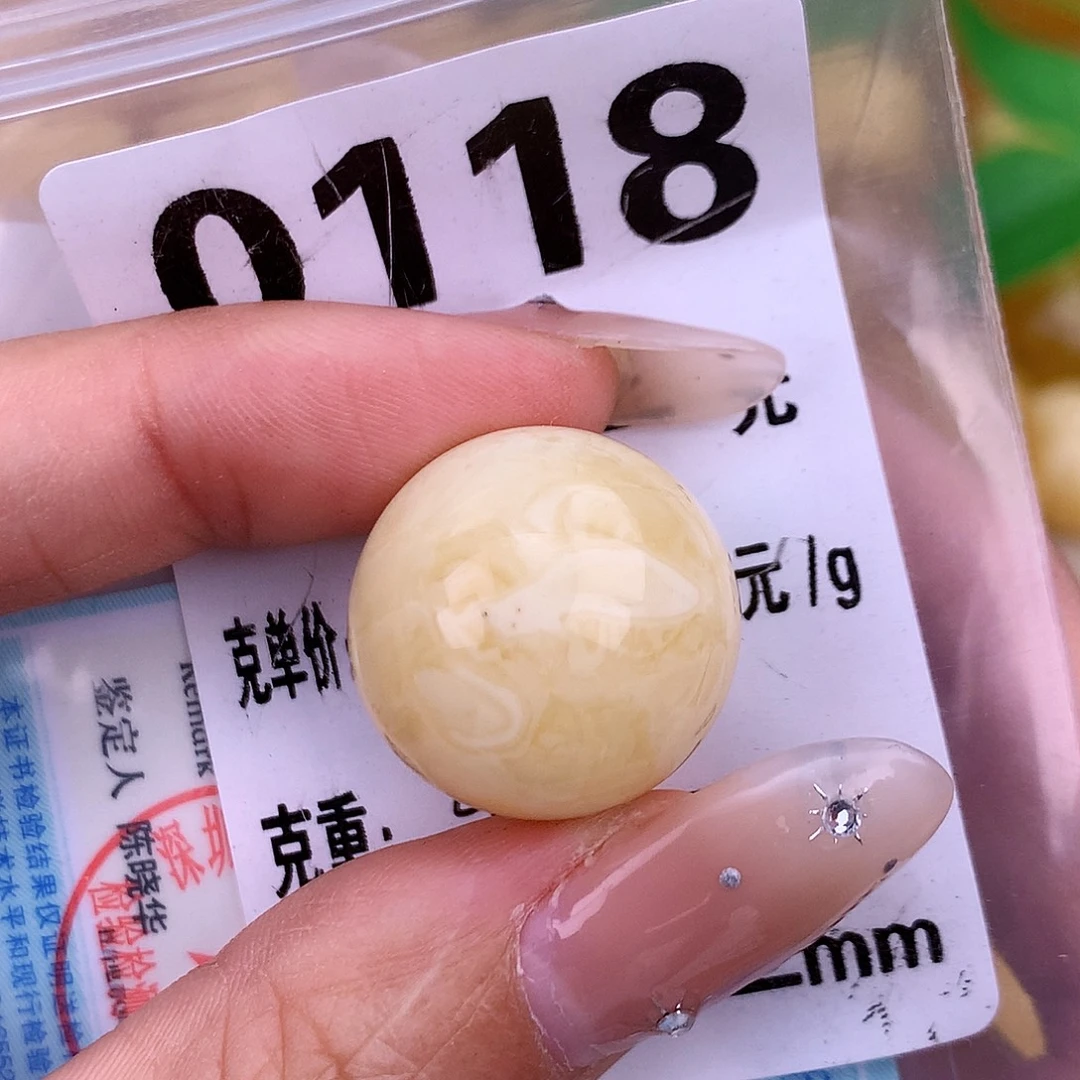 琥珀未镶嵌珠宝奇石19.8 植物