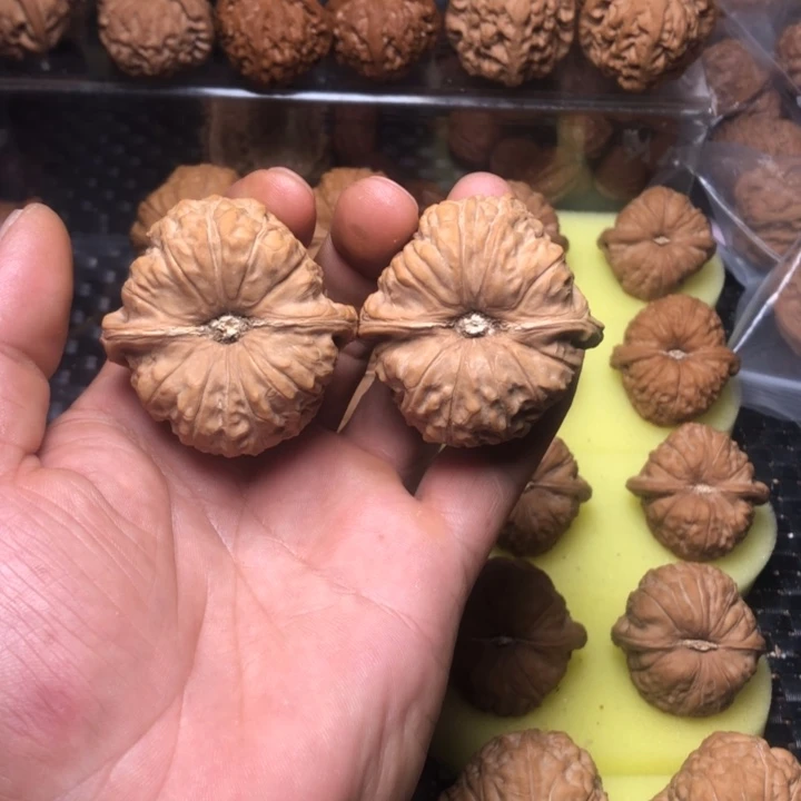 *****大叶紫檀（黑酸枝木类）