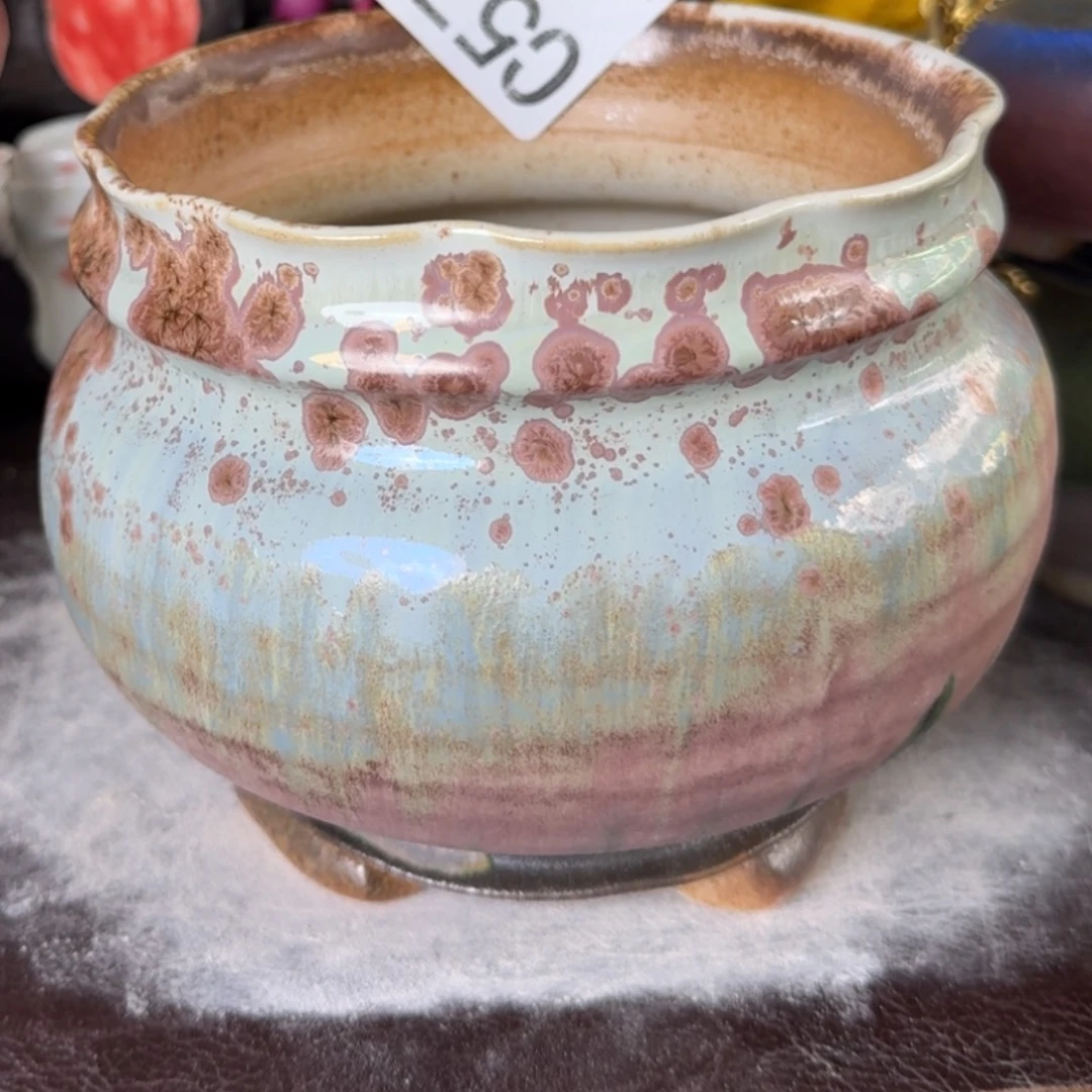 重庆小燕子欢迎那家576