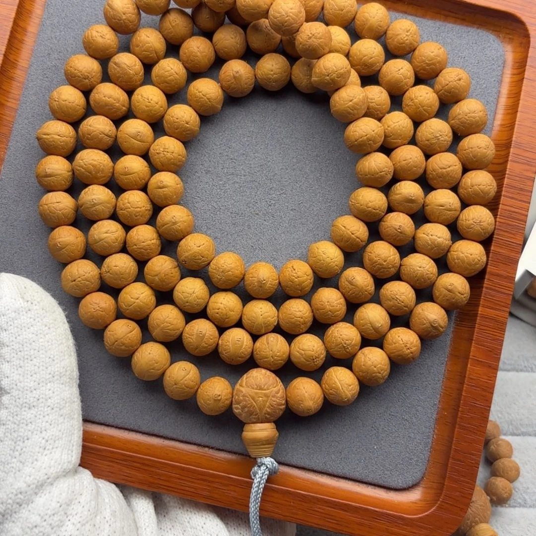 吊坠凤眼菩提凤眼菩提矮壮11.5同树