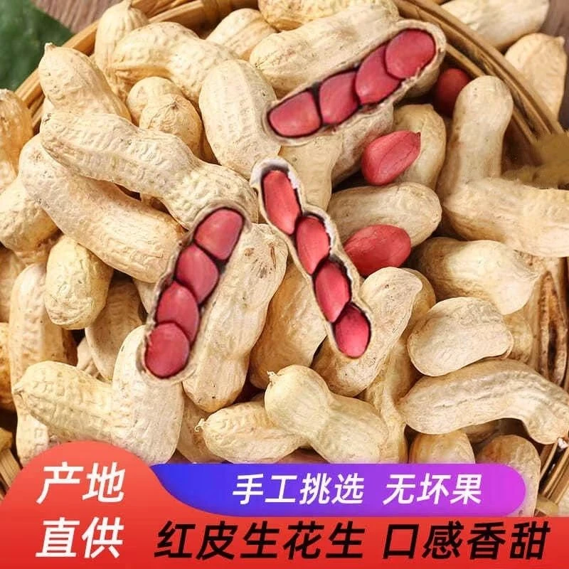 东北红皮四粒红带壳花生新货原味农家晒干精选