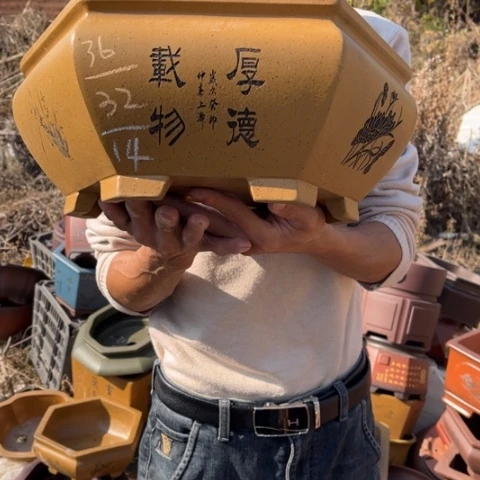 紫砂花盆特价包邮送