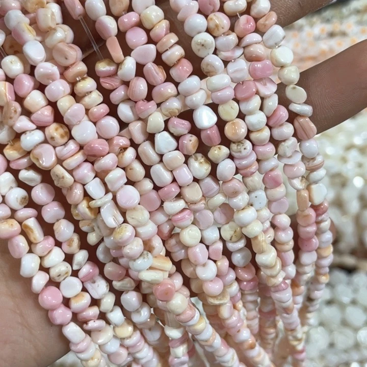 贝壳非金属一条女皇贝随形小豆豆