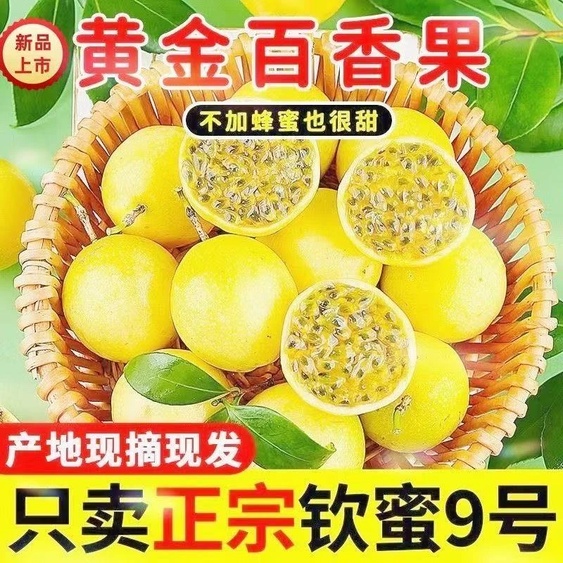 平晏果园纯甜黄金百香果3斤/5斤包邮大果钦蜜9号树熟当季新鲜水果