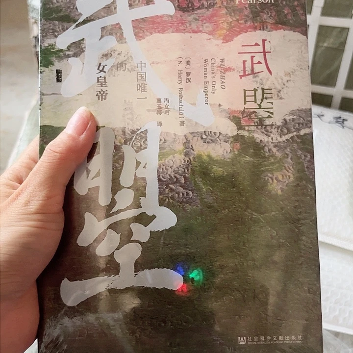 大叶紫檀（黑酸枝木类）武曌微瑕