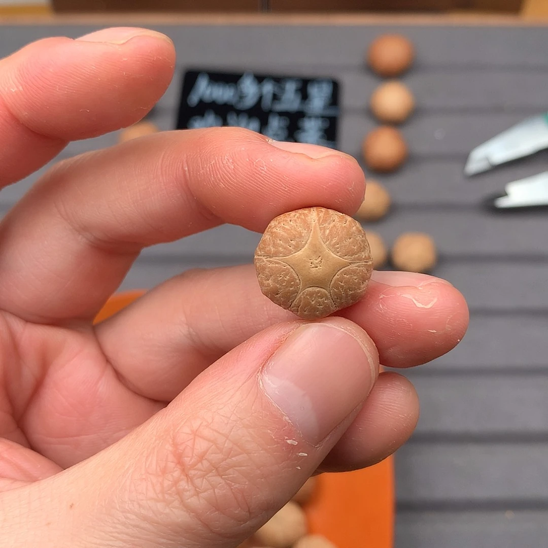 吊坠凤眼菩提橙*17+五星。非质量问题开孔不退