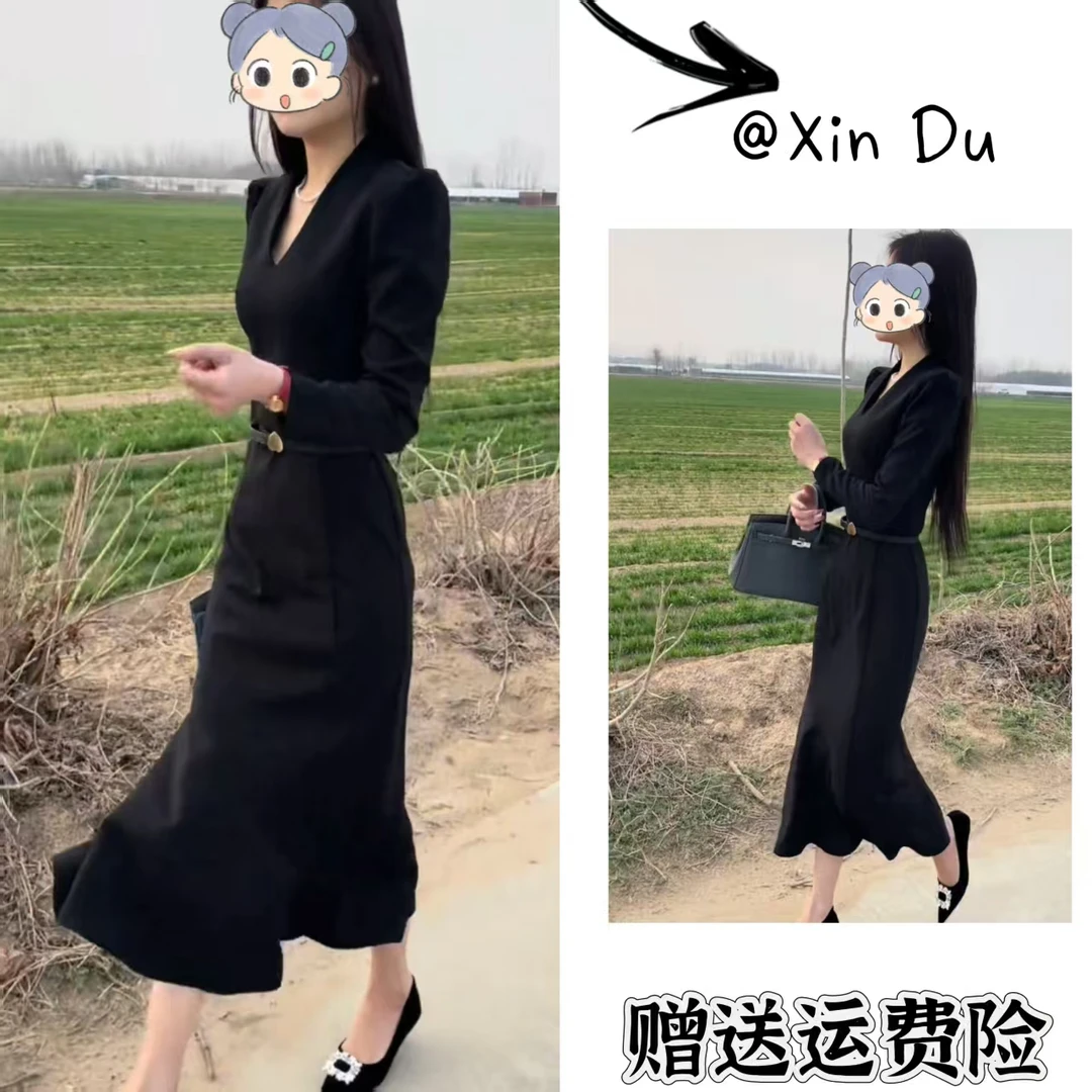 2025秋季新款时尚显瘦气质女士网红洋气连衣裙百搭款D22119